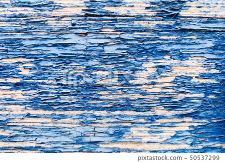 Vintage wood background with peeling paint Vintage wood background with peeling paint 50537299