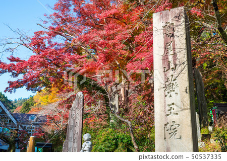 高山山藥院公司標準步道步道入口秋天（東京都八王子市）*照片攝於2017年11月 50537335