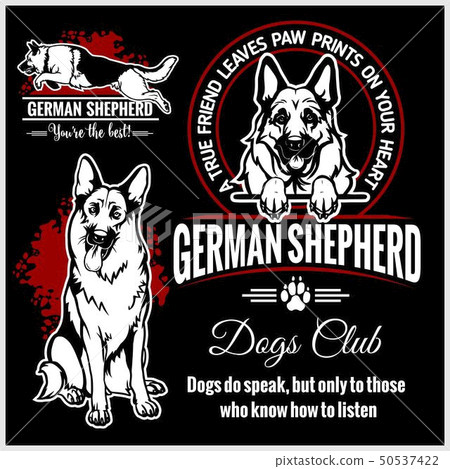 german shepherd t