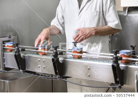 Operator checking quality at final Stage of Production Yogurt-Filling. Premium Yogurt filled in Operator checking quality at final Stage of Production Yogurt-Filling. Premium Yogurt filled in 50537444