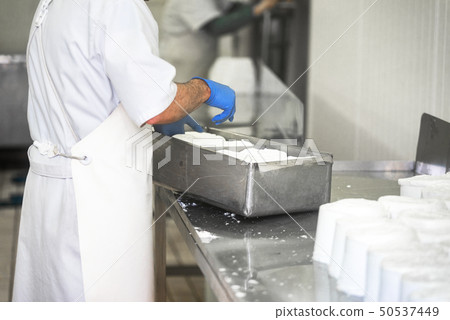 working woman preparing cheese raw dough into molds 50537449