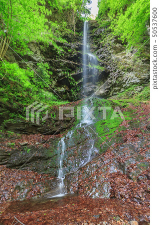 Valea lui Stan Gorge in Romania Valea lui Stan Gorge in Romania 50537600