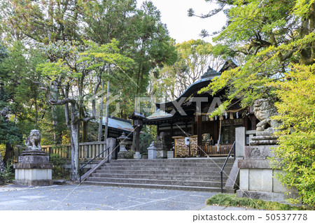 Kyoto, Okazaki Shrine, worship hall 50537778