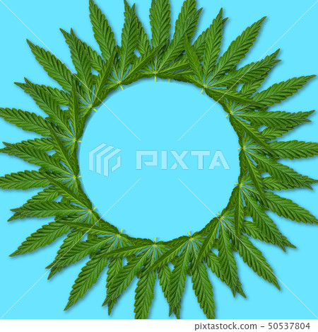 Hemp or cannabis Leaf Picture frame 50537804