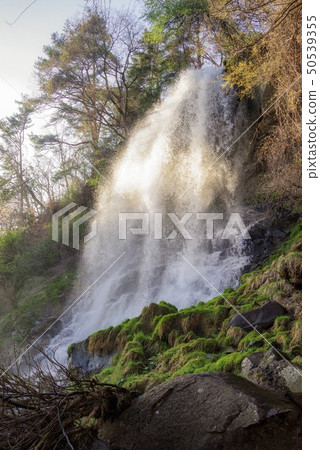 Otome瀑布黃昏（長野縣，四月） 50539355