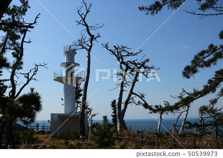 氣仙沼大島Ryumaizaki 50539973