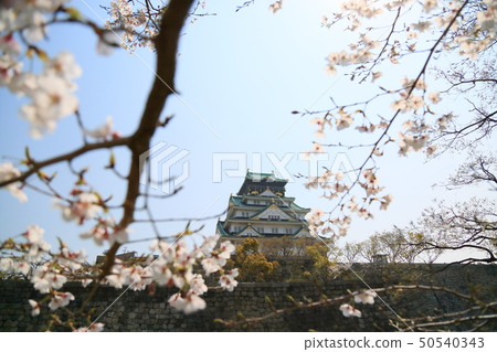 大阪城堡城堡塔 大阪城堡城堡塔 50540343