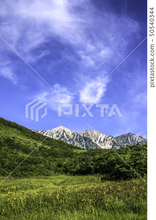 藍天和新鮮的綠色白馬Miyama 藍天和新鮮的綠色白馬Miyama 50540344