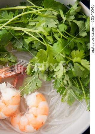 Pakchi's Four Pakchi's Four 50540546