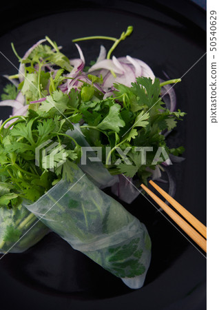 Fresh spring roll of pacchi 50540629