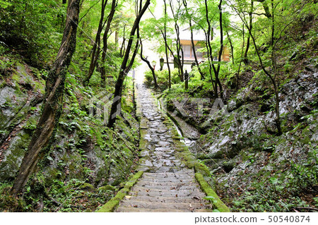 Omiwa Kannon Omiwa Kannon 50540874