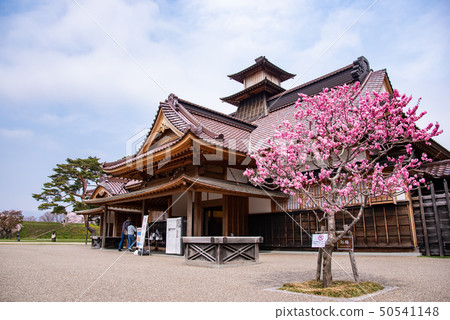 Hokkaido Hakodate Goryokaku Park Restored Hakodate votive office and Yae Sakura 50541148