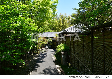 Akira Joyama藍楓綠色世界 50541174