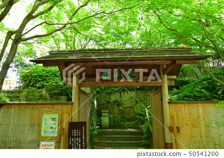 Akira Joyama藍楓綠色世界 Akira Joyama藍楓綠色世界 50541200
