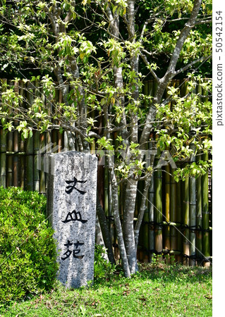 Akira Joyama Blue maple green world 50542154