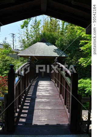 Akira Joyama藍楓綠色世界 50542164