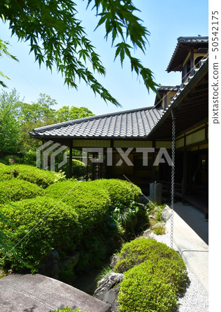 Akira Joyama Blue maple green world 50542175