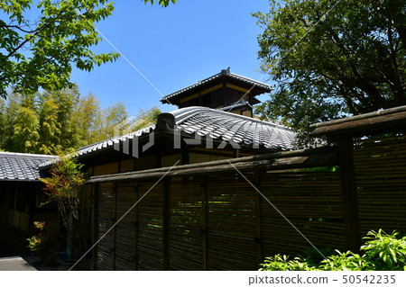 Akira Joyama藍楓綠色世界 50542235