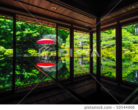 新鮮的綠色前竹森林旅館 50544906