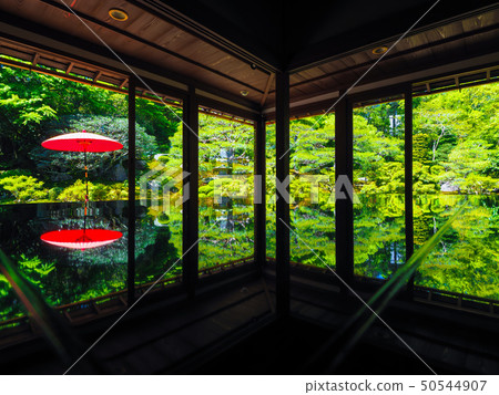 新鮮的綠色前竹森林旅館 50544907