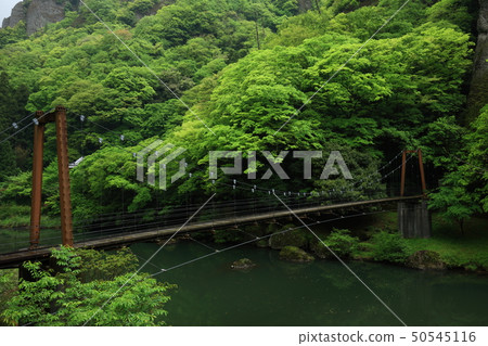 從Tatekukei峽谷 50545116
