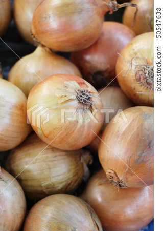 Fresh onion for cooking in the market 50547638