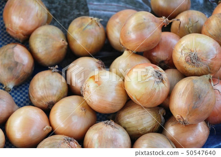 Fresh onion for cooking in the market 50547640