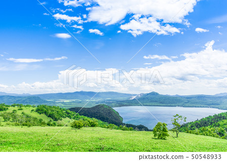 Refreshing algocidus observatory Refreshing algocidus observatory 50548933