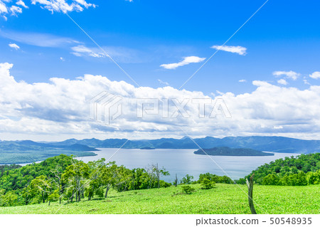 Refreshing algocidus observatory 50548935