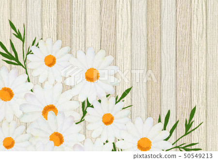 Wood grain margaret frame texture Wood grain margaret frame texture 50549213