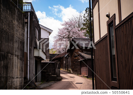Cityscape of Toyama Yao Small path of cherry blossoming slope 2010.04 b 50550641