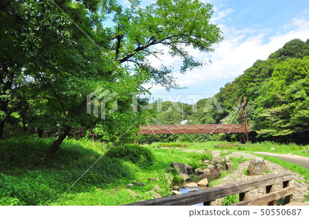 Iwanomori, Yamato City Green Bridge and Fresh Green 50550687