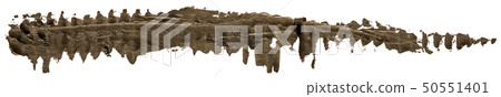 Black long oil texture paint stain brush stroke Black long oil texture paint stain brush stroke 50551401