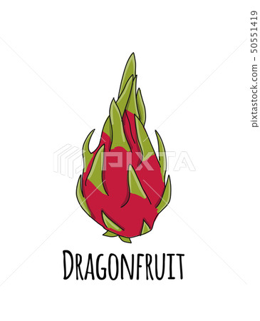 Dragonfruit, sketch for your design 50551419