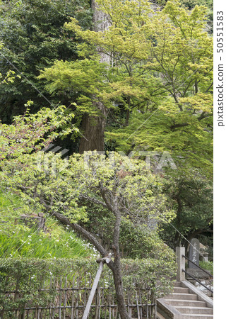 Engakuji Temple Totoku Shutokuan(鎌倉市山之內) Engakuji Temple Totoku Shutokuan(鎌倉市山之內) 50551583