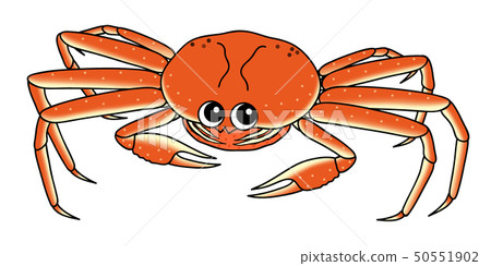 Female crab crab character illustration Female crab crab character illustration 50551902