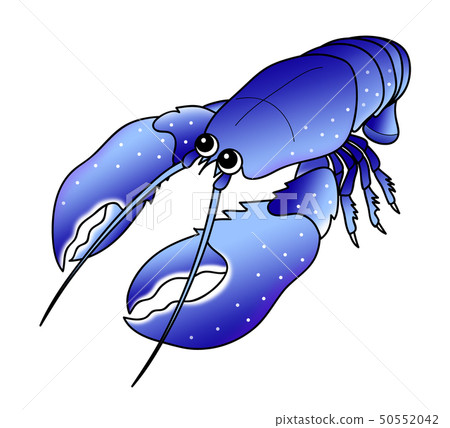 Lobster lobster Omar shrimp character illustration Lobster lobster Omar shrimp character illustration 50552042