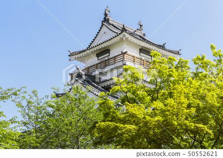Kitsuki Castle where fresh green shines in May Kitsuki Castle where fresh green shines in May 50552621