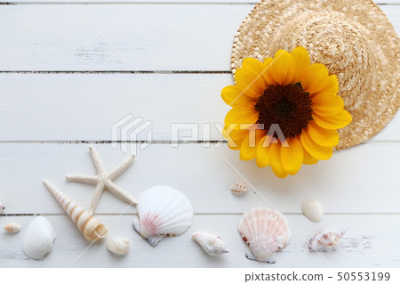 Summer image 50553199