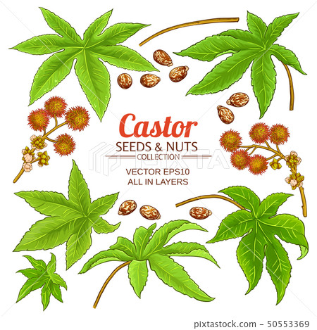 castor elements set castor elements set 50553369