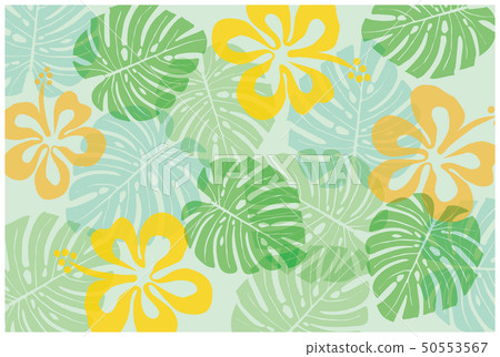 Hibiscus Pattern and Monstera Pattern Background Illustrations Tropical | Textiles Total Pattern Background Hibiscus Pattern and Monstera Pattern Background Illustrations Tropical | Textiles Total Pattern Background 50553567