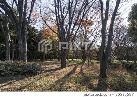 Otemachi (winter) Otemachi (winter) 50553597