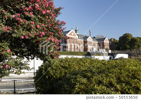 Chidorigafuchi（冬季） 50553650