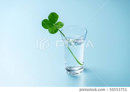 Four leaf clover cup Four leaf clover cup 50553731