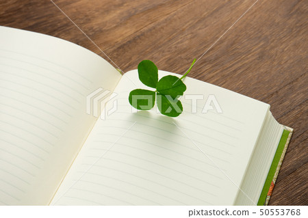 Four leaf clover book Diary 50553768