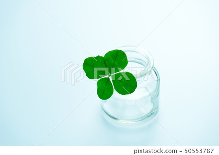 四片葉子三葉草玻璃 四片葉子三葉草玻璃 50553787