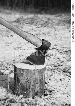 Axe and log in winter forest 50553888