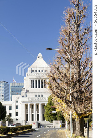 Parliament building (winter) 50554318