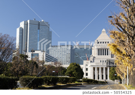 國會大廈(冬季) 國會大廈(冬季) 50554325