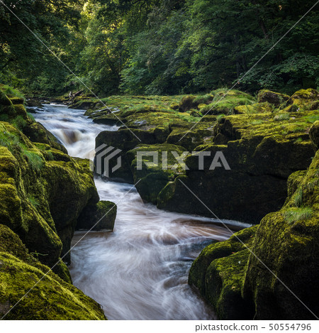 The Strid on River Wharfe The Strid on River Wharfe 50554796